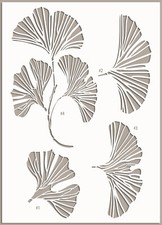 Stencil Singolo Foglia di Gingko Grandi Pareti Riutilizzabile Vernice Decorazione Casa Artigianato FL180
