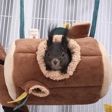  Ceppo Appeso Cavia Criceto