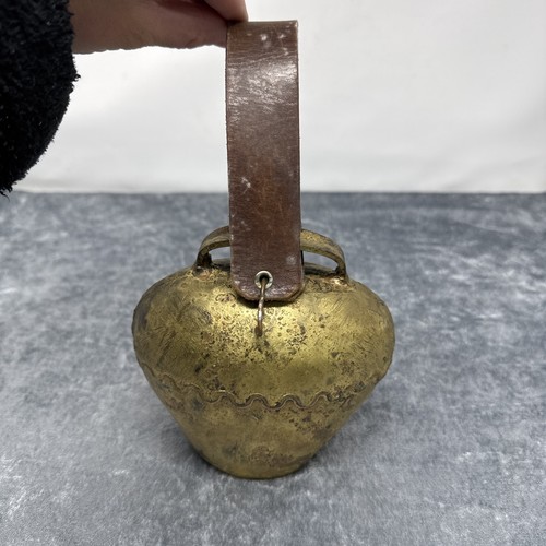 S621 grande campana - per, mucche