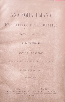 Anatomia umana descrittiva - , e