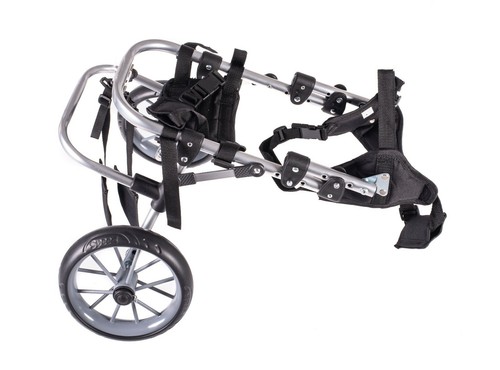 Sedia rotelle per - a,