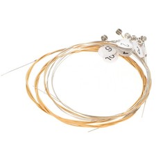 10 pezzi Lyre Strings