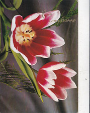 Buon Compleanno Italy Postcard used creased