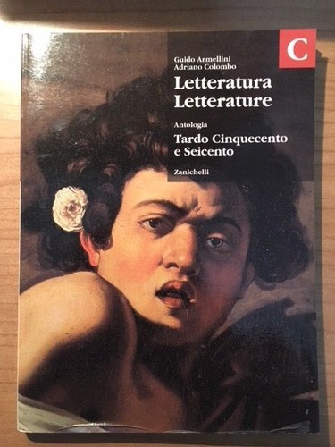 Letteratura letterature - letteratura,