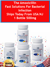 AMOXICILLIN AQUA 500 Fast