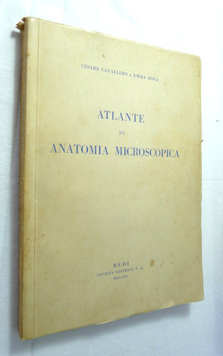 Atlante anatomia - atlante,