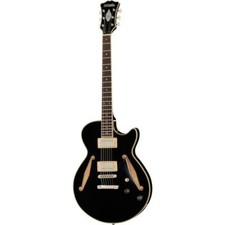 Dangelico chitarra