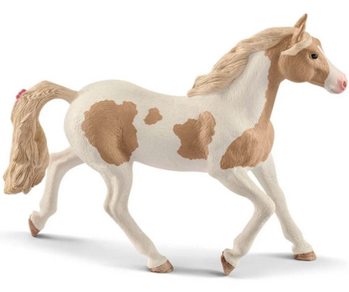 Giumenta paint horse cavalli - paint,