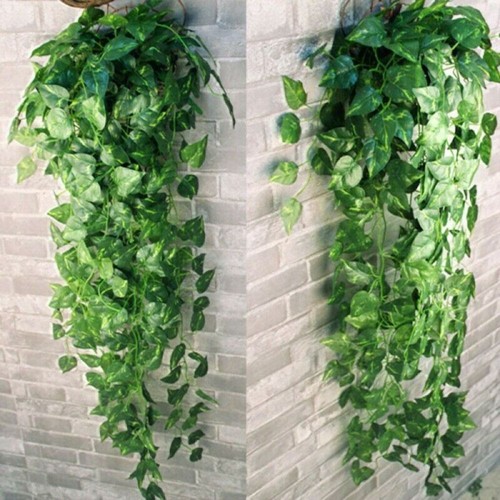Pianta appendere 220 cm - da,