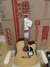 Chitarra elettrica acustica