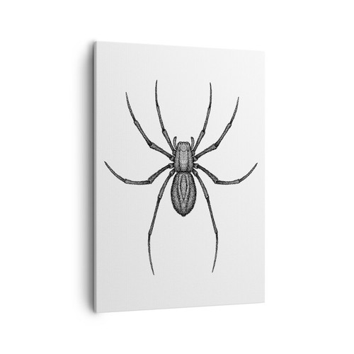 Quadro tela 50x70cm ragno - quadro, su
