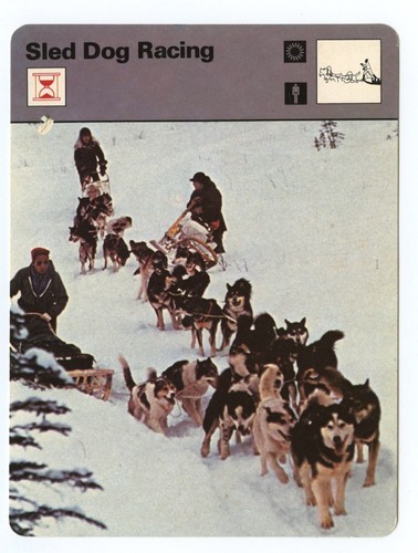 Sled dog racing scheda - sled,