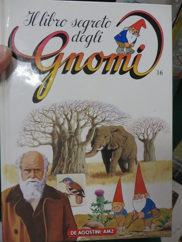Book libro - book, il