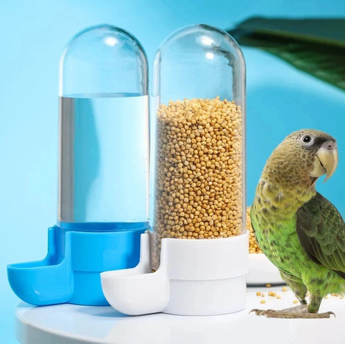 Bird water feeder - water, bevitore