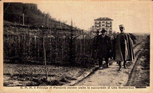 Torino vivai erba - e., s.a.r