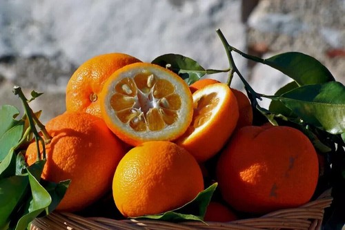 Semi arancio amaro - semi,