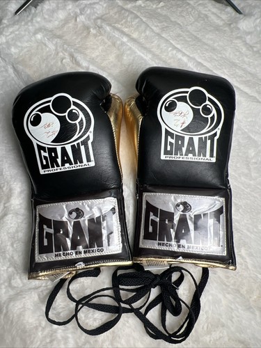 Grant boxing pro fight - boxing-10,