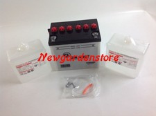 Batteria avviamento elettrico