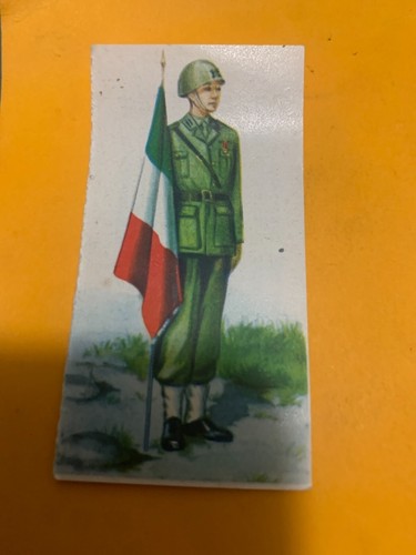 Fig 208 guerrieri antichi e - 208,