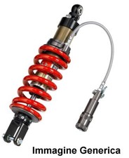 Mono posteriore 3 reg