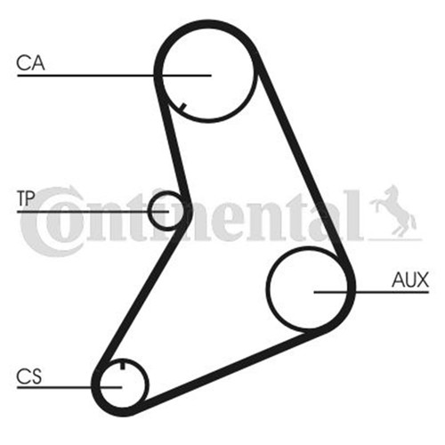 Cinghia dentata continental - dentata,