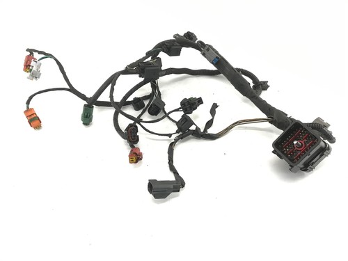 Cablaggio motore ford - cablaggio,