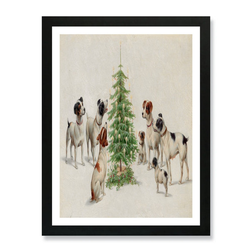 Jack russell terrier - jack, a