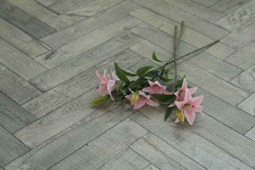 Nuovo campione parquet - di,