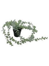 IKEA Pianta Artificiale