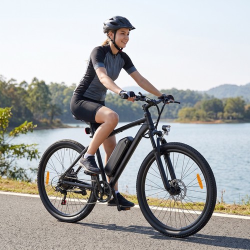 Bicicletta elettrica - bicicletta,