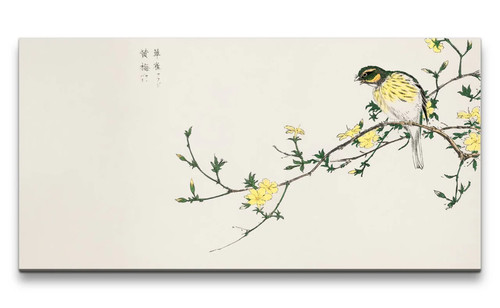 120x60cm remaster bellissima - 120x60cm,