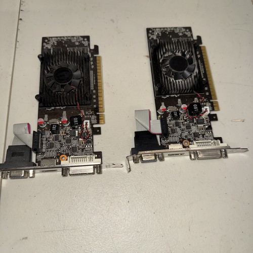 Scheda video evga nvidia - video,