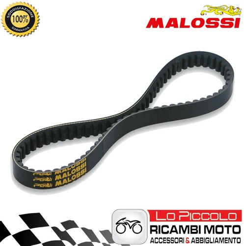 Malossi 6117010 cinghia k - malossi, x