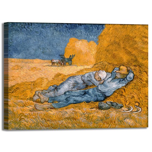 Van gogh siesta - van,