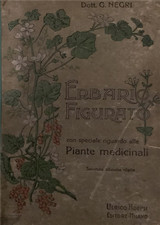 Negri,Giovanni. - Erbario figurato. 
