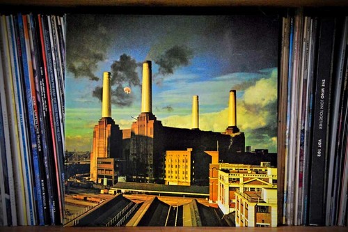 Pink floyd animals album - pink,
