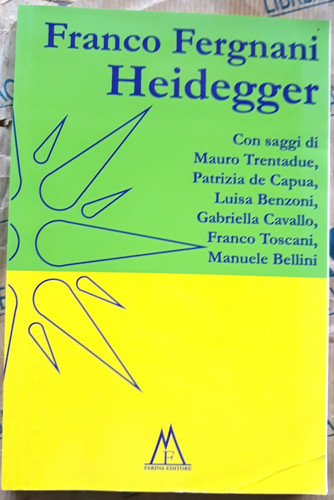 Heidegger franco fergnani - heidegger,