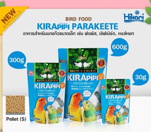 Hikari kirapipi parrocchetto - hikari,