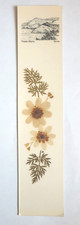 Segnalibro fiori pressati