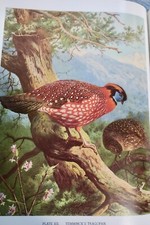 Monografia Degli Uccelli Dei