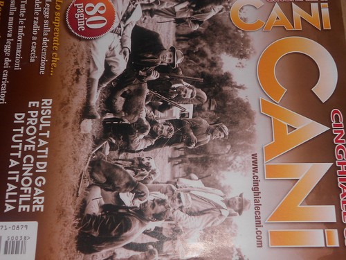 Cinghiale cani 2015 - cinghiale,