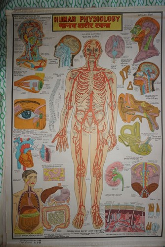 Poster scolastico india - xx°,