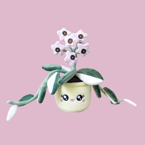 Peluche hoya carnosa - peluche,