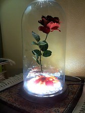 ROSA INCANTATA -La Bella & La Bestia