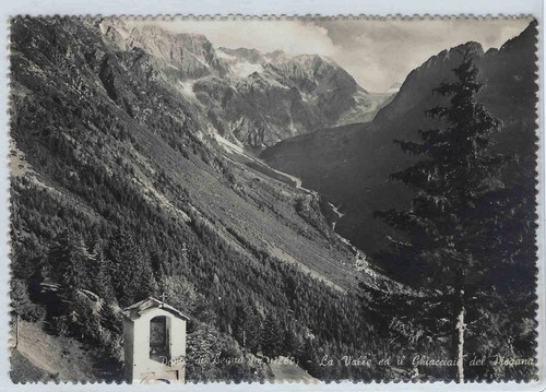 Cartolina repubblica 1951 - -,