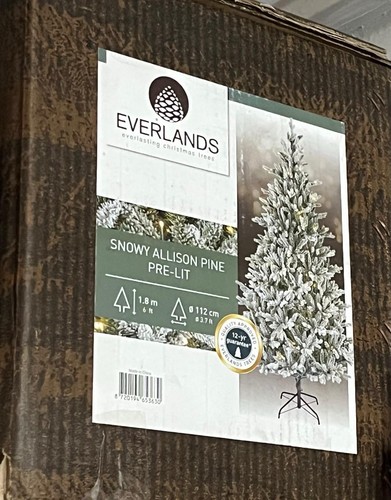 Everlands snowy allison pine - everlands,