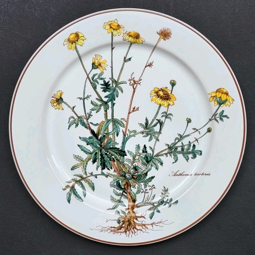 Sublime assiette plate signée - plate,