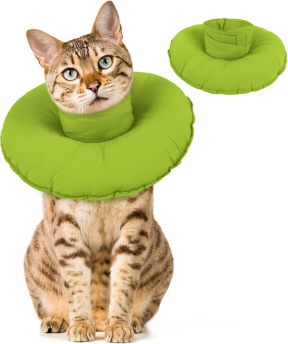 Collare protettivo gatto - collare,