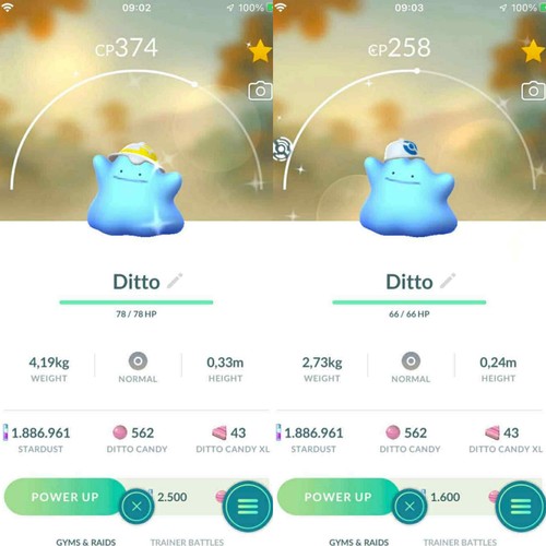 Pokemon shiny ditto - ditto, indossare