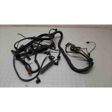 A1705408005 Cablaggio motore